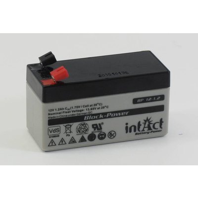 intAct BP 6-1,2 AGM