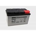 intAct intAct BP 12-60