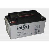 intAct intAct BP 12-65 AGM