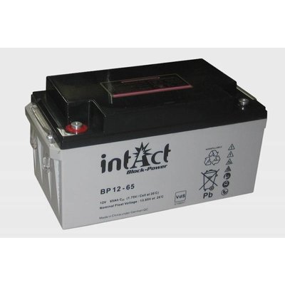 intAct intAct BP 12-65 AGM