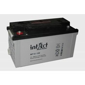 intAct intAct BP 12-120 AGM