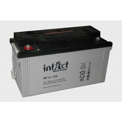 intAct intAct BP 12-120 AGM