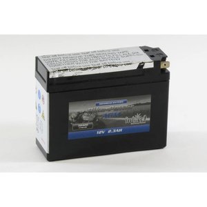 intAct intAct 50420 - YT4B-BS plug