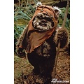 Dressed Teddy / Ewok