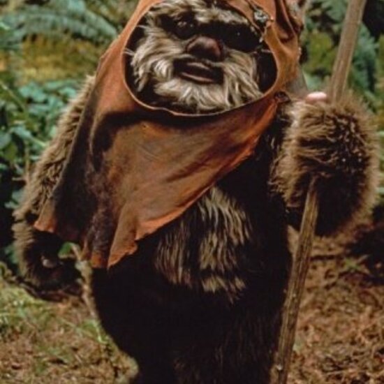 Dressed Teddy / Ewok