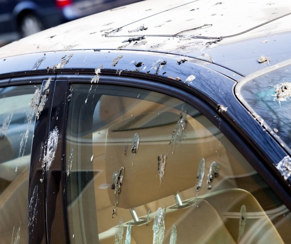 Wie Sie Ihr Auto vor Kratzern schützen können - Carmada