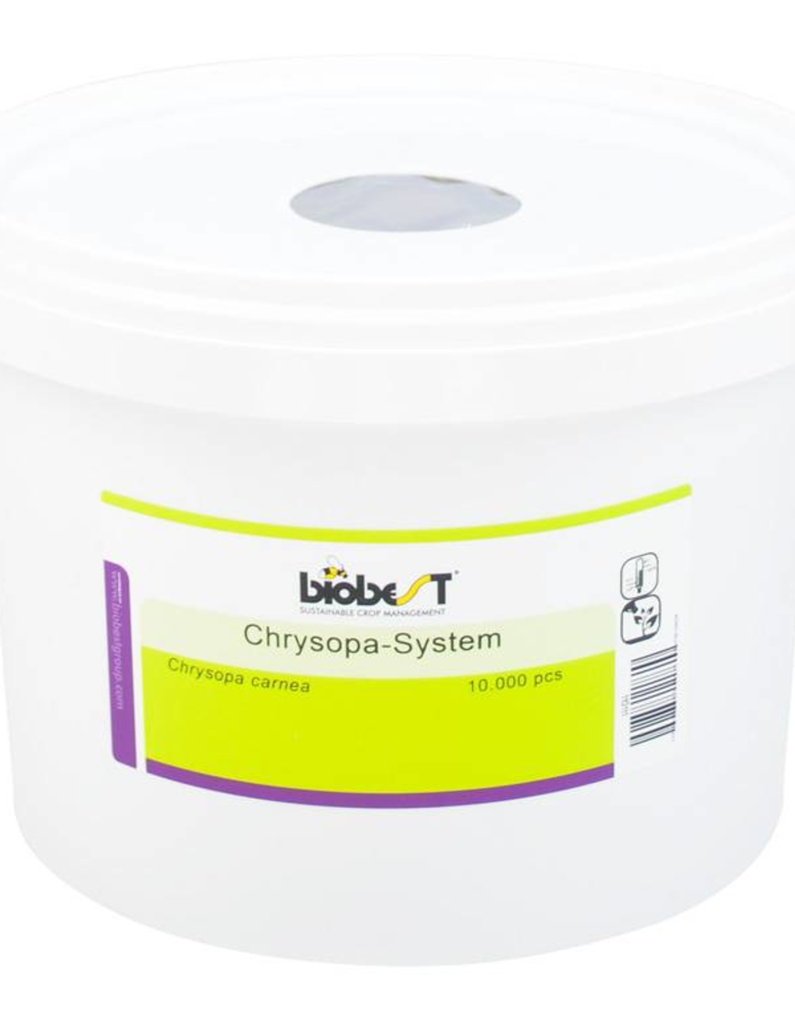 Brimex Biobest Bladluis bestrijden met gaasvlieg Chrysopa