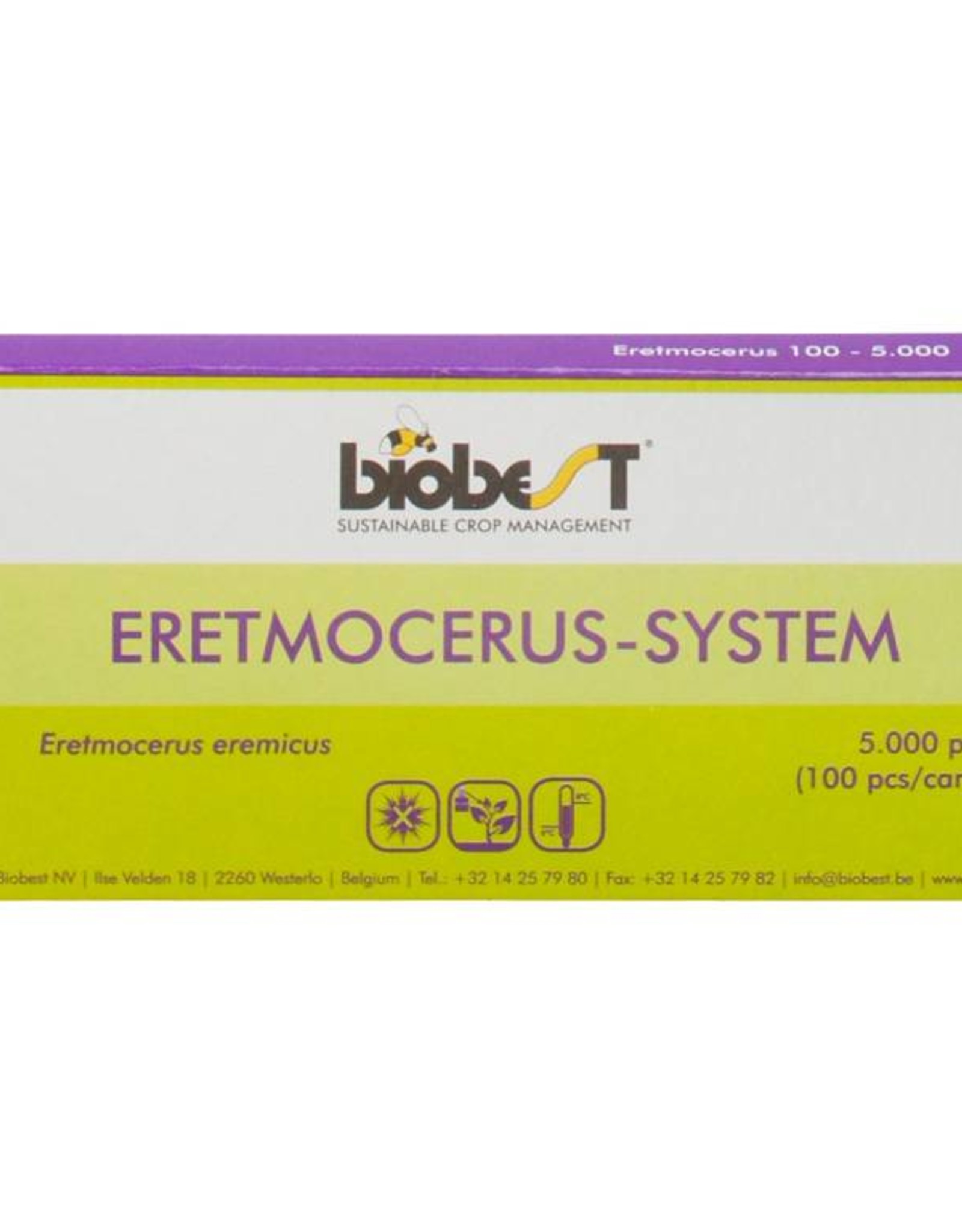 Brimex Biobest Sluipwesp Brimex Eretmocerus eremicus system