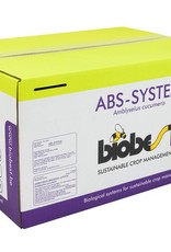 Brimex Biobest Roofmijt  Amblyseius cucumeris breeding stystem