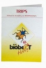 Brimex Biobest Brimex kaart roofwants ter bestrijding van trips 100 stuks