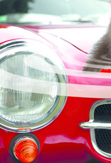 SWISS INNO SUPERCAT Marter stop Auto SWISS INNO SUPERCAT Marter stop Auto
