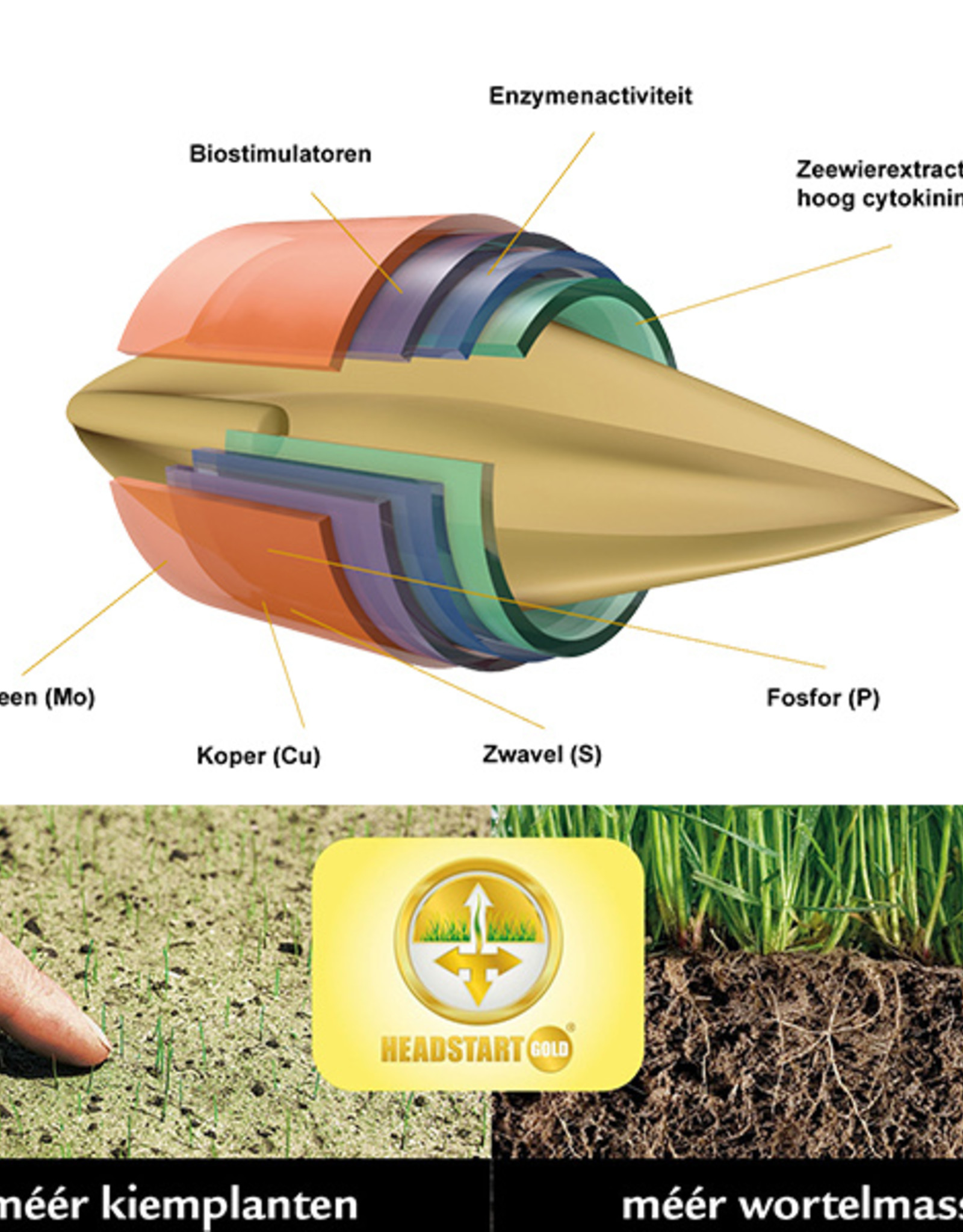 Advanta Graszaad Recovery 2 is dé herstelformule voor de renovatie en inzaai van zeer intensief gebruikte gazons.