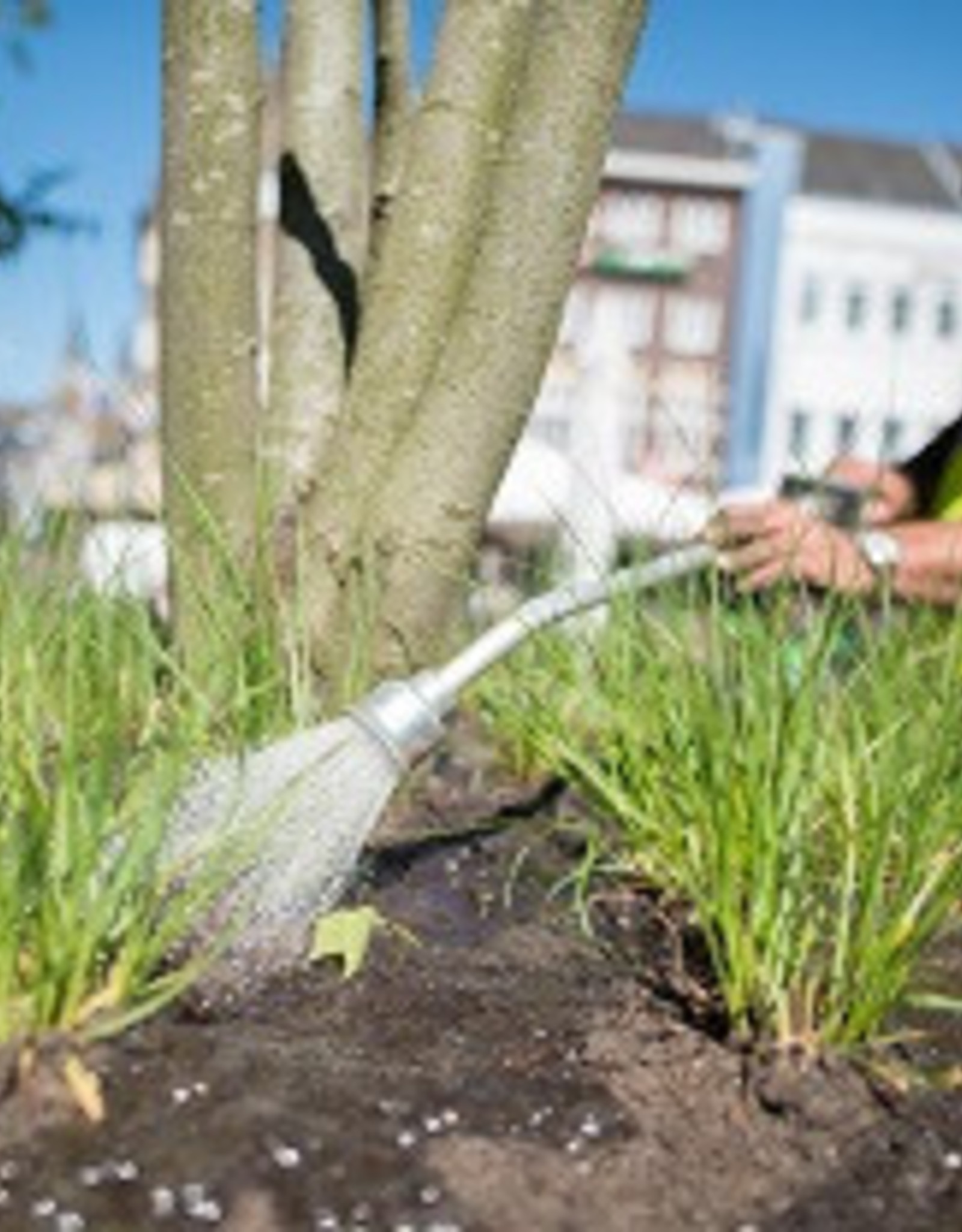 Innogreen Greenfields® zorgt voor groei, kleur, activering van slapende ogen en zorgt voor gezonde groei.