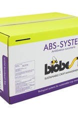 Brimex Biobest Trips (larven) bestrijden met roofmijt Brimex ABS System