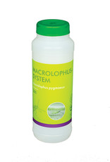 Brimex Biobest Witte vlieg  eitjes en larven  bestrijden met Brimex roofwants Macrolophus System