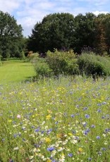 Advanta Advanta veldbloemen 2 kleurrijk meerjarig 2-3 jaar 50-100 Cm