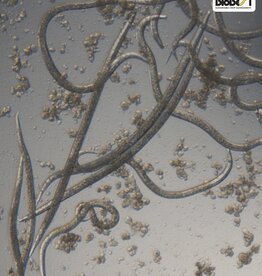 Brimex Biobest NemaFence®-Phasma (niet leverbaar)