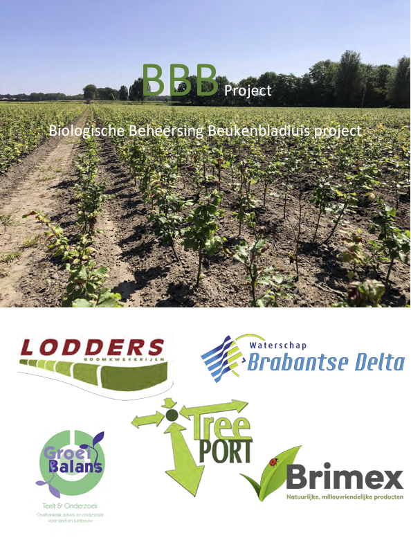 Biologische beheersing Beukenbladluis (BBB)project