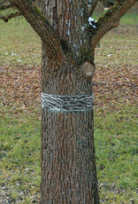 SWISS INNO SWISSINNO Boom lijmband | 5 meter