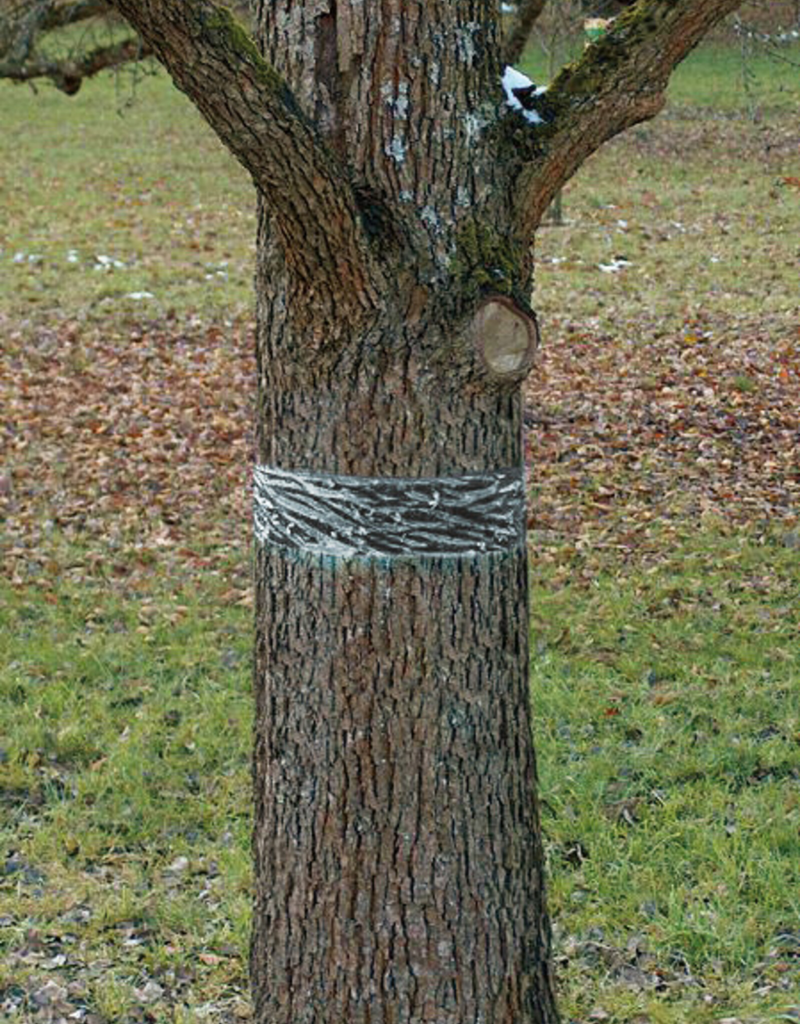 SWISS INNO SWISSINNO Boom lijmband | 5 meter