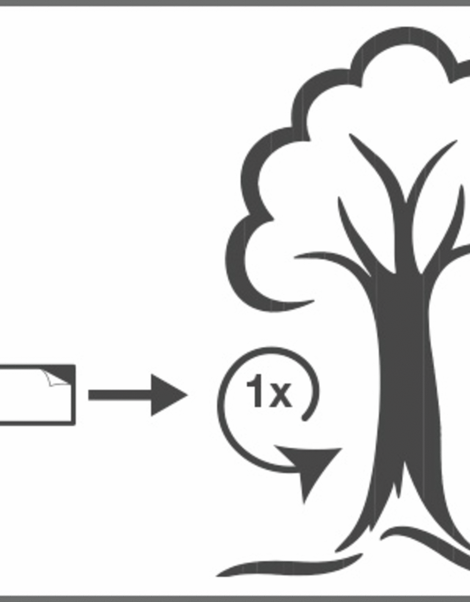 SWISS INNO SWISSINNO Boom lijmband | 5 meter