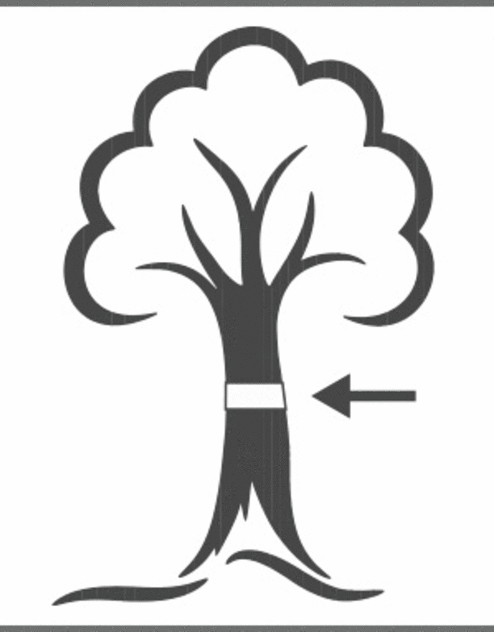 SWISS INNO SWISSINNO Boom lijmband | 5 meter