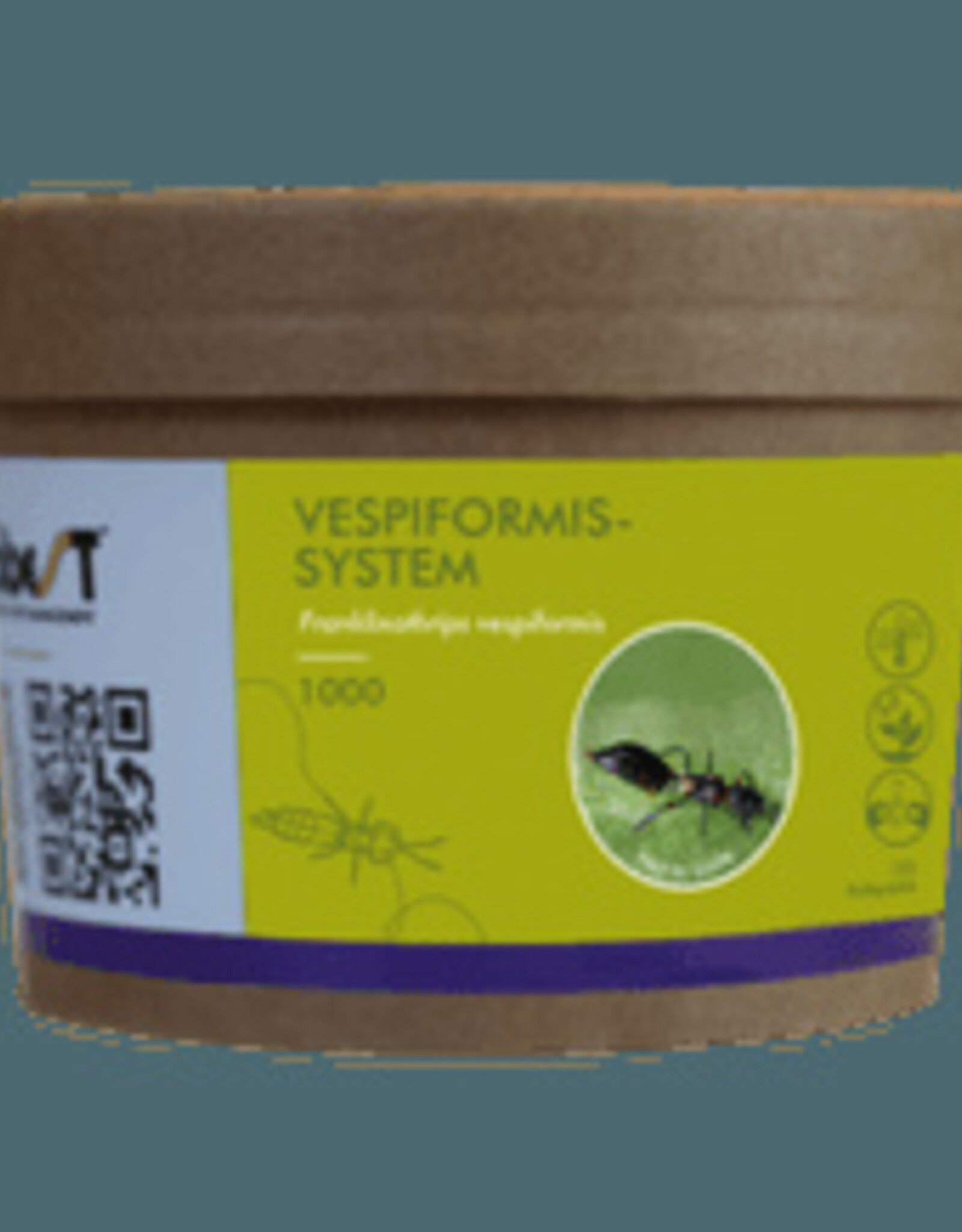 Brimex Biobest Vespiformis-System rooftrips tegen trips