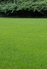 Innogreen Innogreen Mosvrij gazonmix 6-2-20 + 3 Mgo