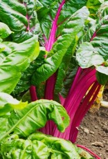 Innogreen Innogreen Moestuinmest 8-3-8 +3 MgO Innogreen Innogreen Moestuinmest 8-3-8 +3 MgO