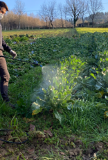 Matabi Matabi evolution 30 LTC-S verrijdbare elektrische trolley drukspuit