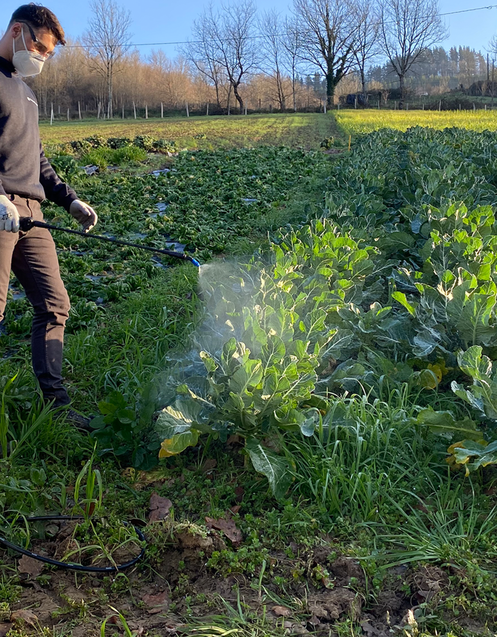 Matabi Matabi evolution 30 LTC-S verrijdbare elektrische trolley drukspuit