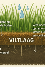 Innogreen Innogreen Viltvrij-Bio tegen vervilting in het gazon