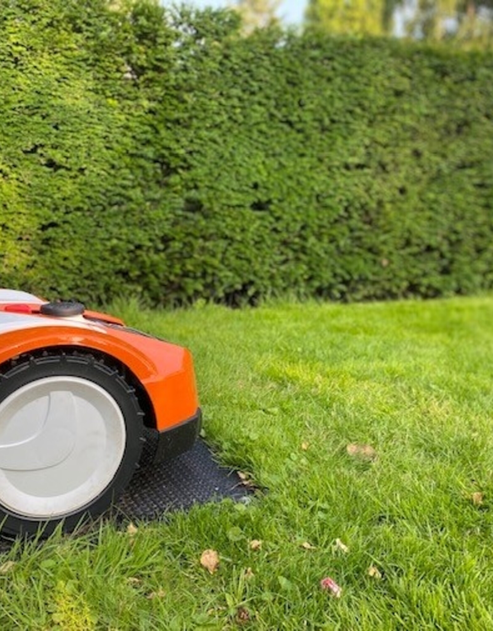 Innogreen Innogreen Viltvrij-Bio tegen vervilting in het gazon