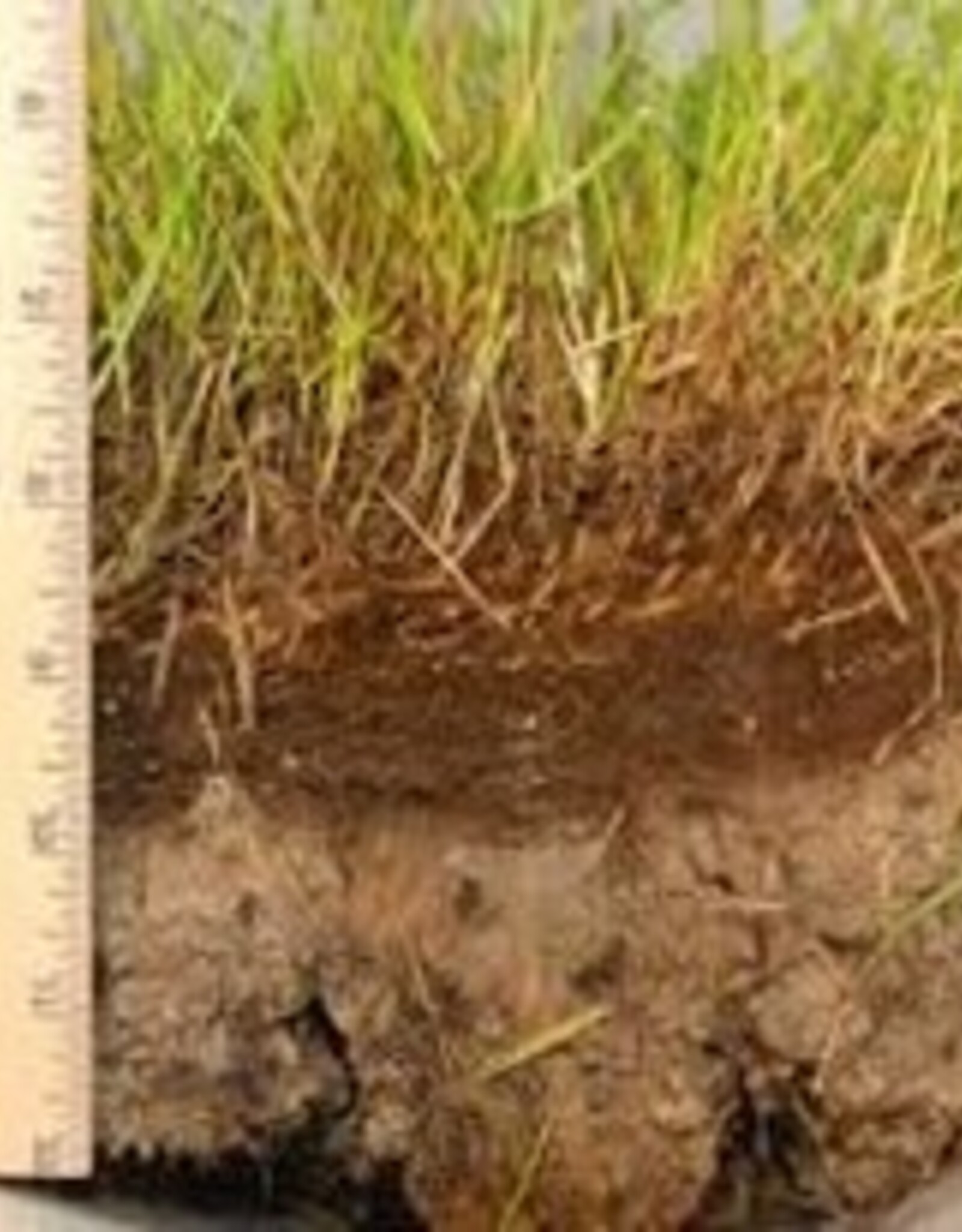 Innogreen Innogreen Viltvrij-Bio tegen vervilting in het gazon