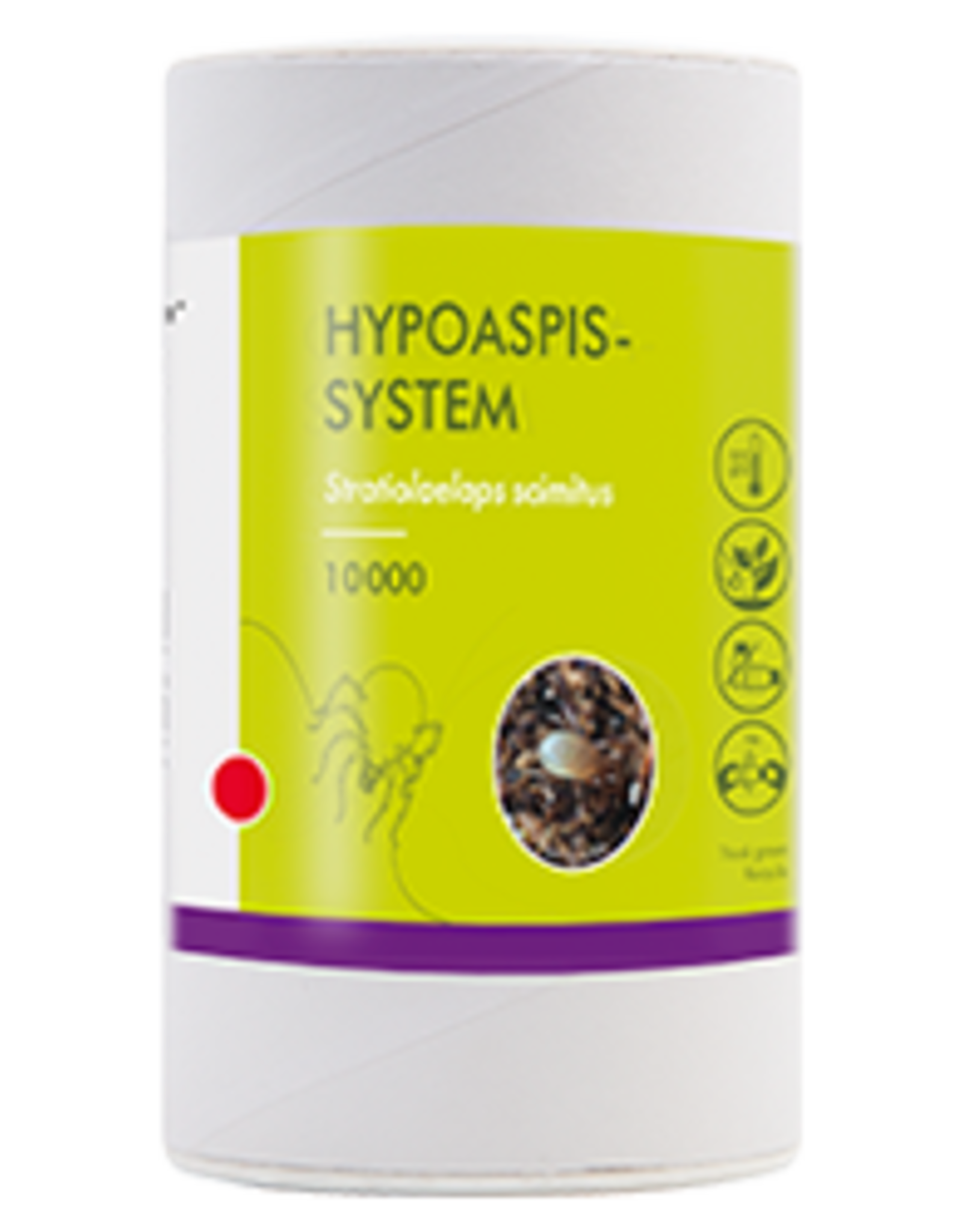 Brimex Biobest Trips (poppen)  bestrijden met Bodemroofmijt Hypoaspis miles