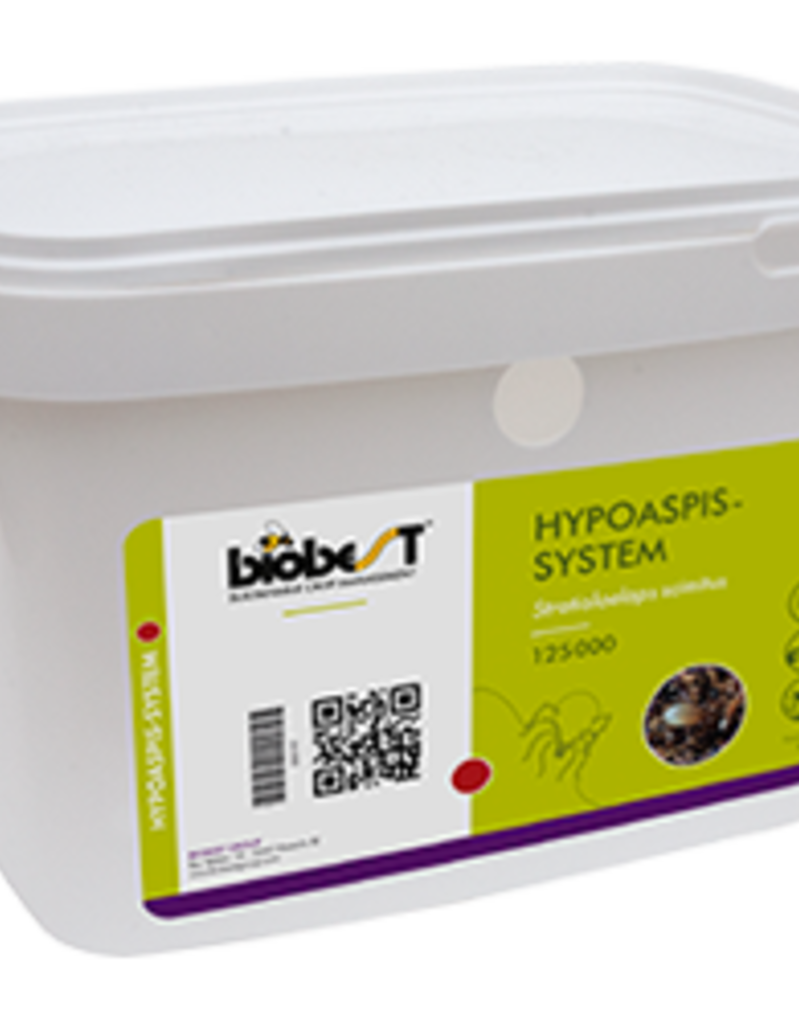 Brimex Biobest Trips (poppen)  bestrijden met Bodemroofmijt Hypoaspis miles