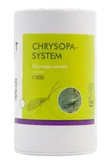 Brimex Biobest Bladluis bestrijden met gaasvlieg Chrysopa