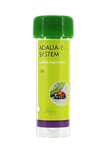 Brimex Biobest Lieveheersbeestje Adalia  bipunctata system