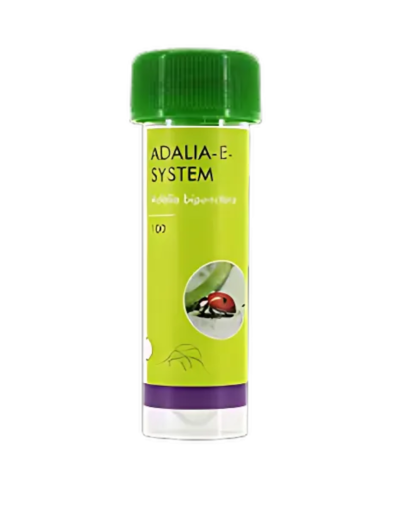 Brimex Biobest Lieveheersbeestje Adalia  bipunctata system