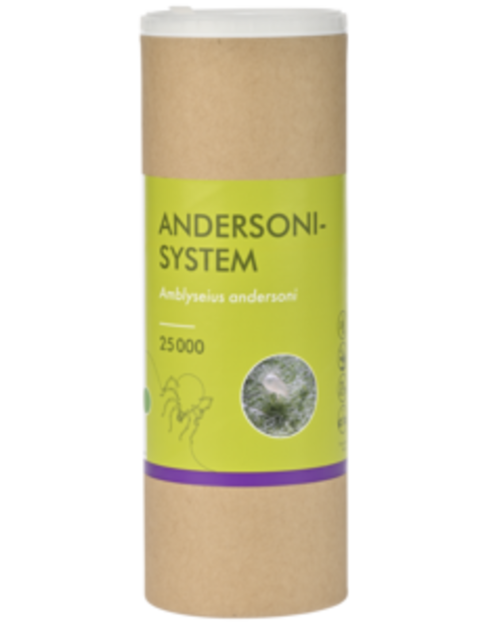 Brimex Biobest Roofmijt Brimex Amblyseius Andersoni