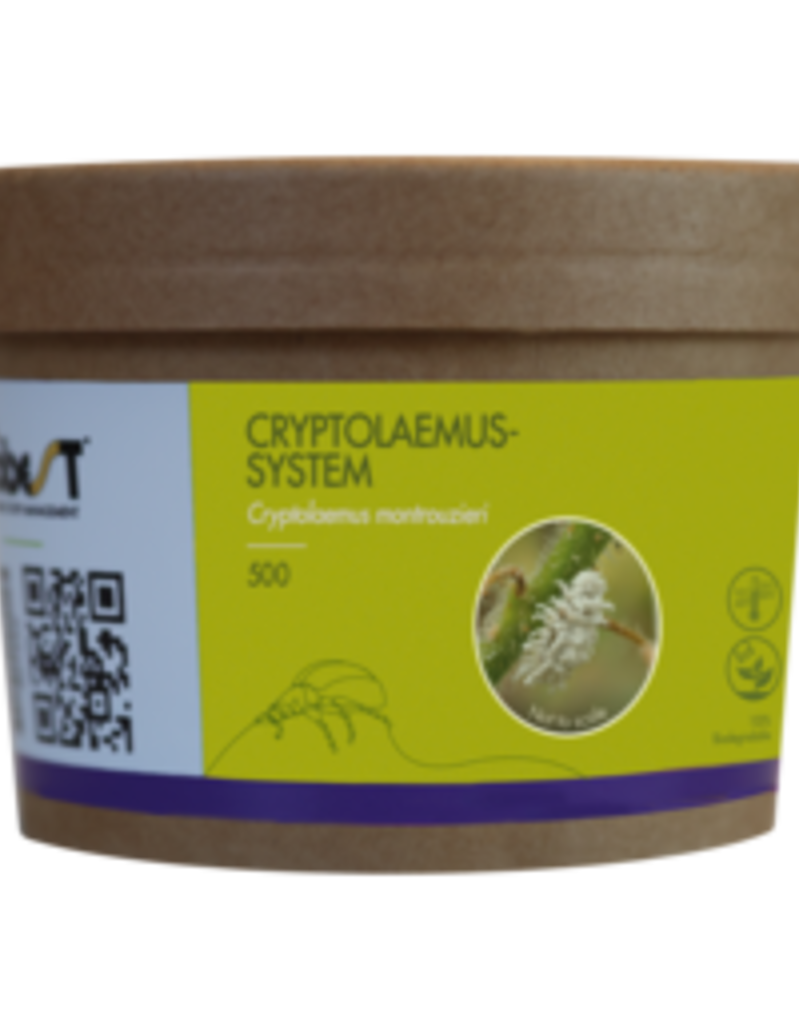 Brimex Biobest Cryptolaemus System