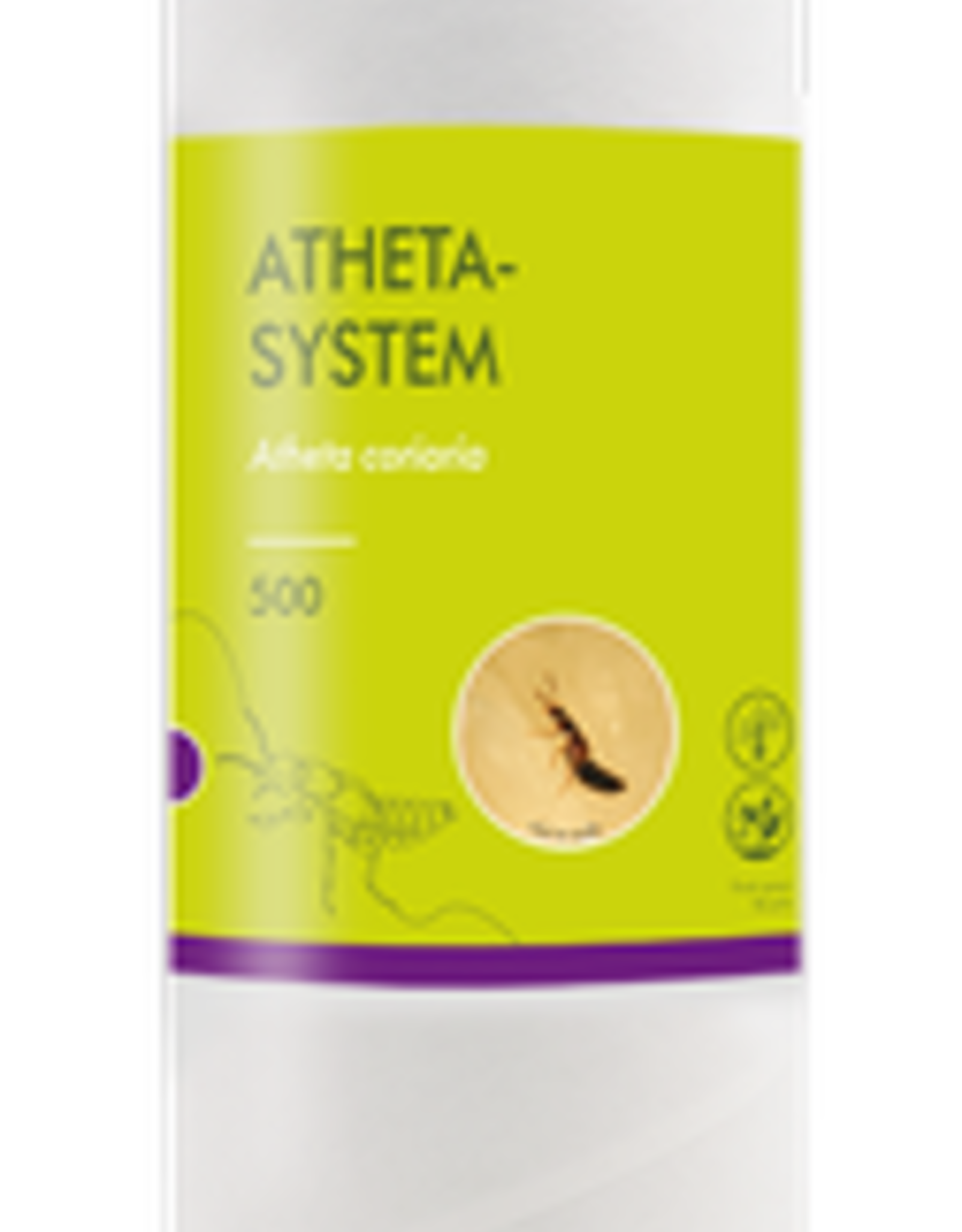 Brimex Biobest Roofkever Brimex Atheta coriaria