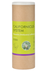 Brimex Biobest Roofmijt Brimex Amblyseius Californicus