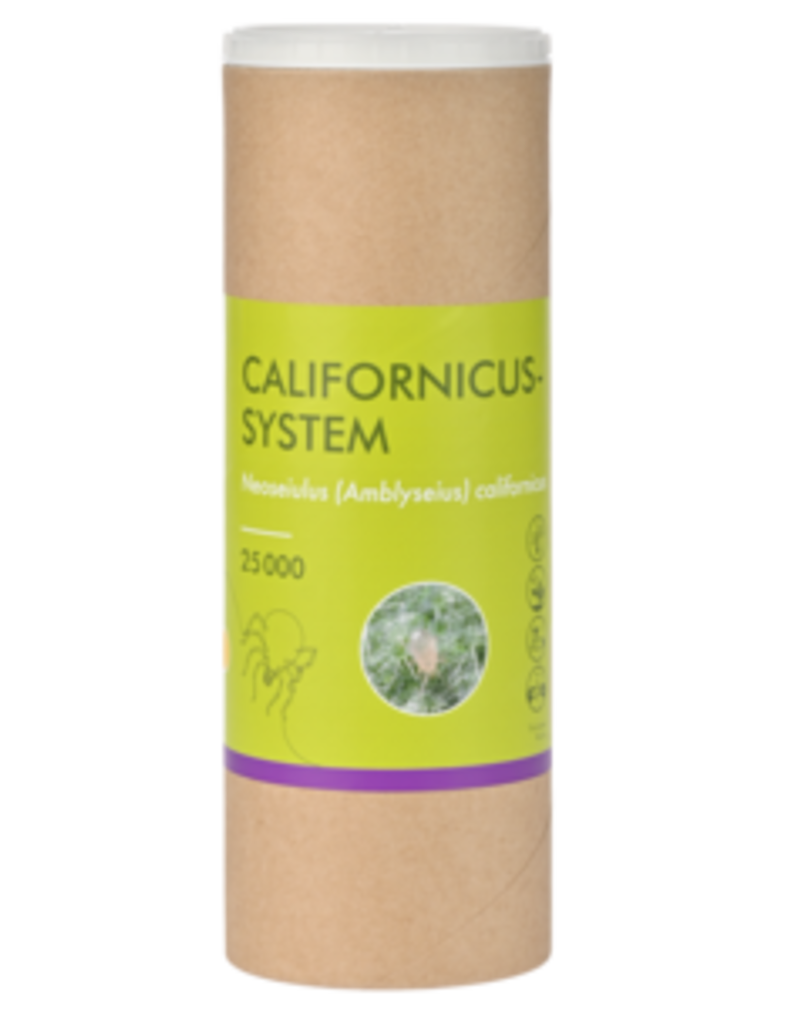 Brimex Biobest Roofmijt Brimex Amblyseius Californicus
