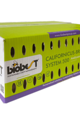 Brimex Biobest Roofmijt Brimex Californicus Breeding System