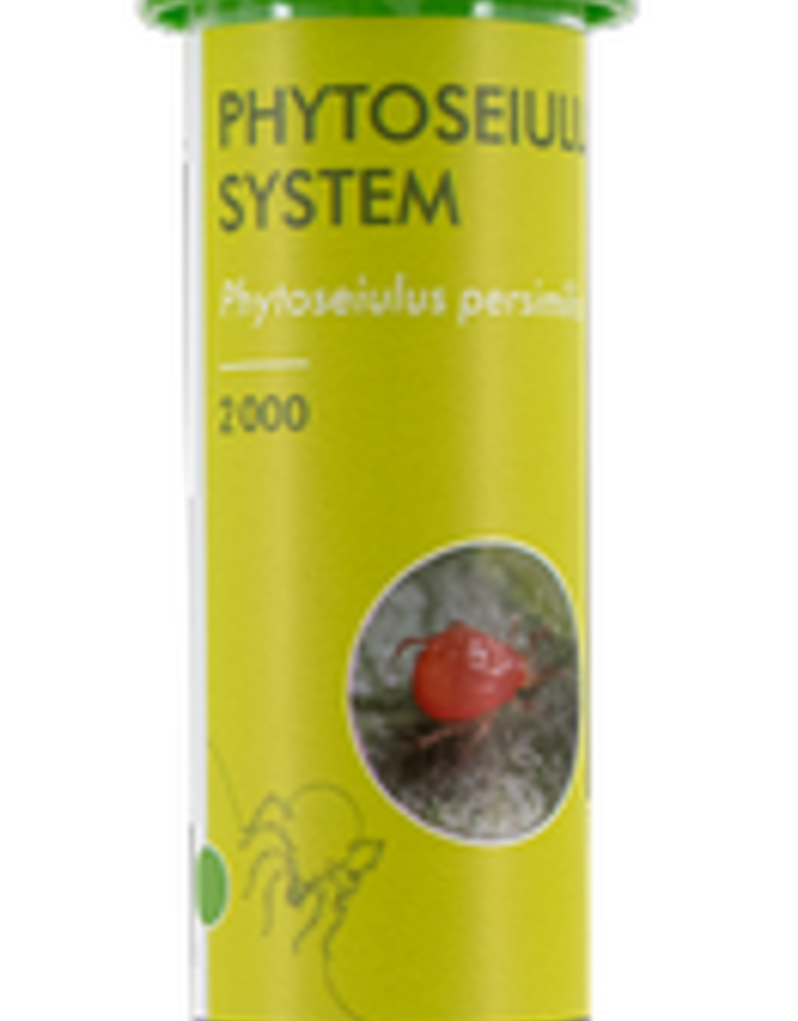 Brimex Biobest Roofmijt Brimex Phytoseiulus  persimilis system