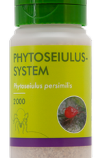 Brimex Biobest Roofmijt Brimex Phytoseiulus  persimilis system