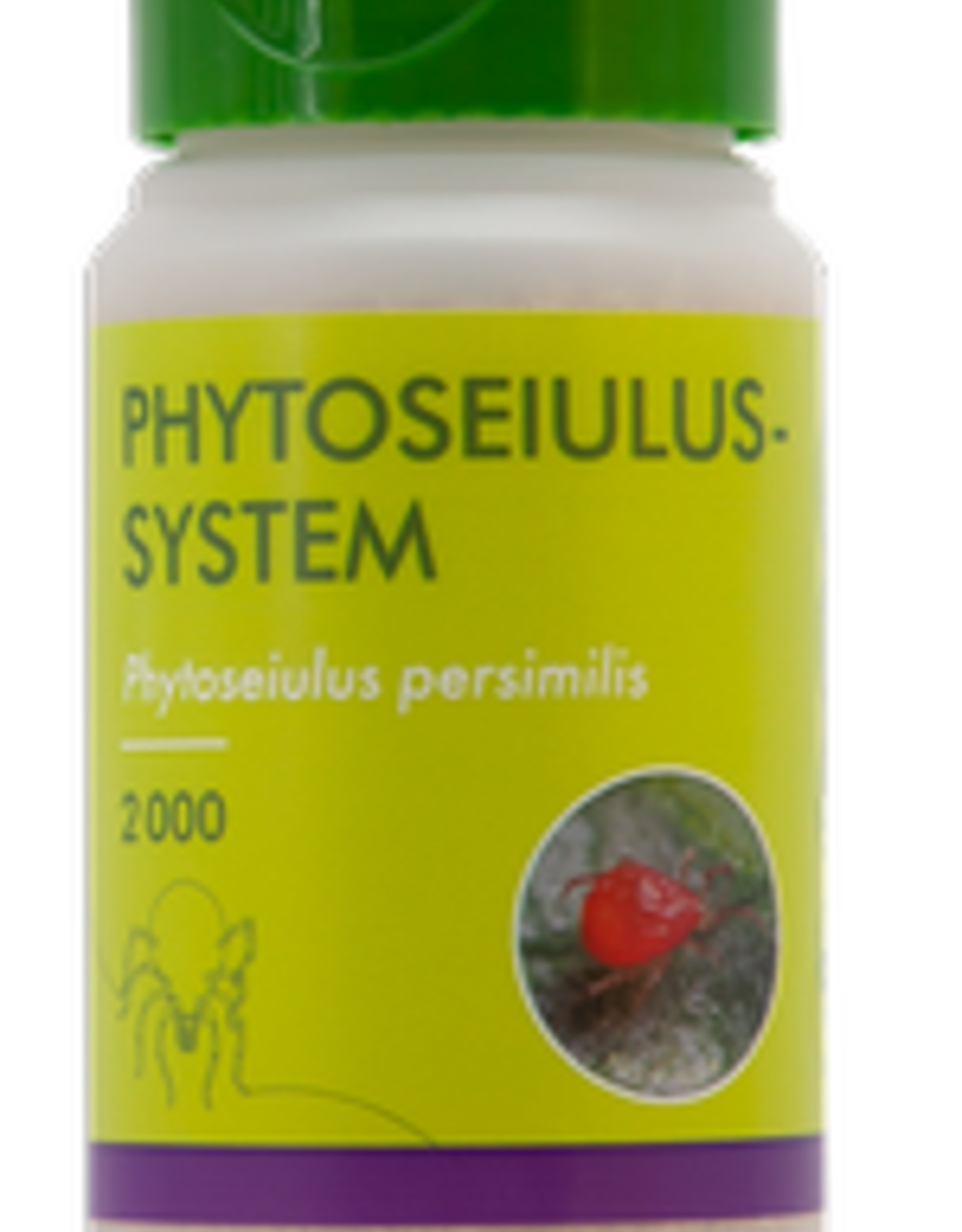 Brimex Biobest Roofmijt Brimex Phytoseiulus  persimilis system