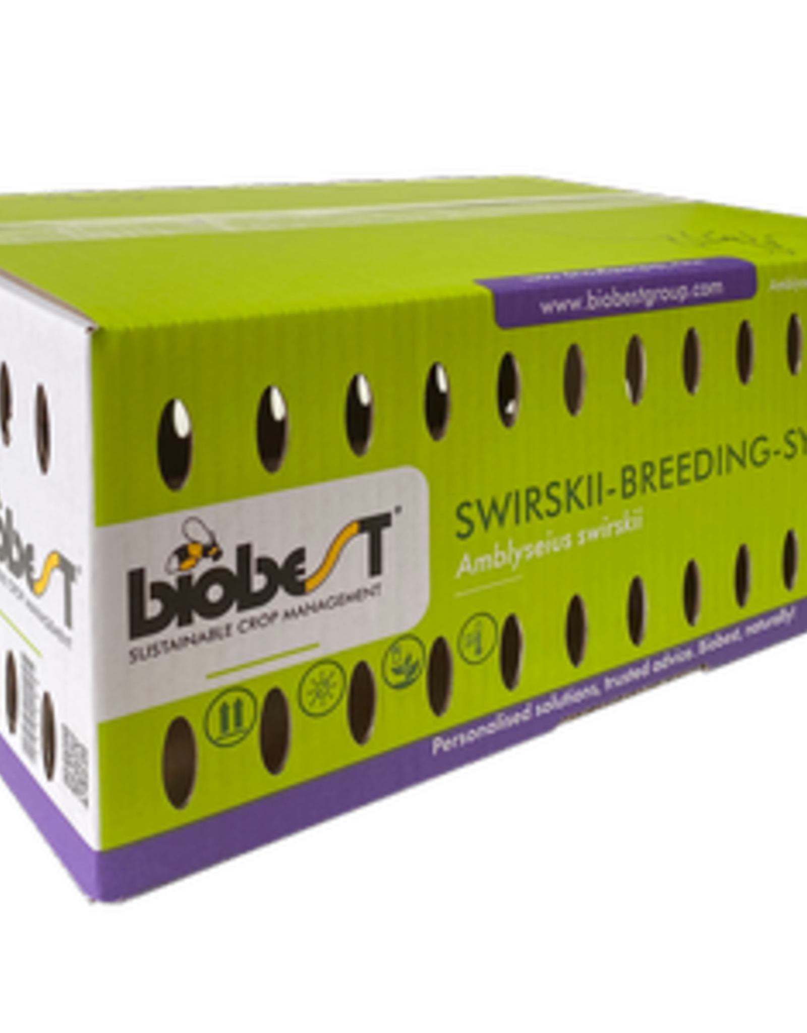 Brimex Biobest Roofmijt Brimex Swirskii Breeding System