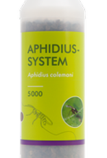 Brimex Biobest Aphidius System sluipwesp voor bestrijding bladluis, katoenluis en perzikluis Brimex Biobest Aphidius System sluipwesp voor bestrijding bladluis, katoenluis en perzikluis